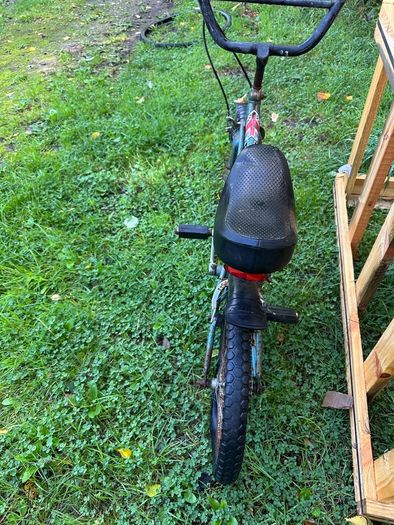 Vintage Raleigh Boxer BMX Blue