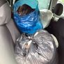 Used Clothes and shoes mostly for ladies, girls and a boy of 6 years old in excellent condition for Free (Possibly for charity or someone working with homeless people) Image 3