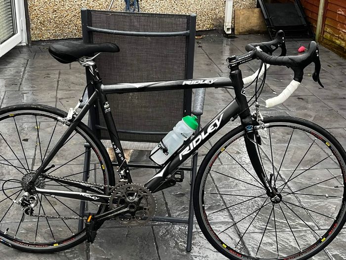ridley triton