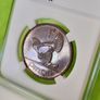 Proof 1928 1d PENNY Freestate High grade Registered post included Read description Image 7