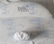 Bella Moon Nursing Nest