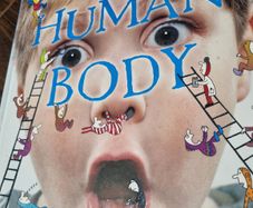 Human body book childrens
