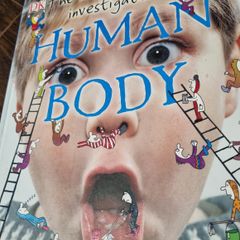 Human body book childrens