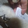 Stradivarius soft fur handbag Image 5