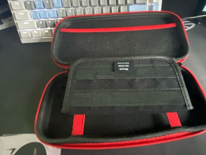 nintendo case 1