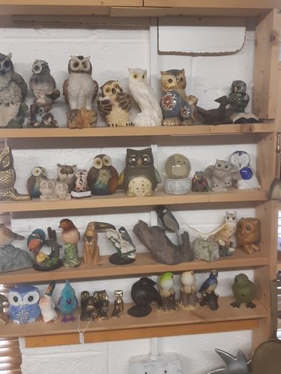 Owl holographic picture