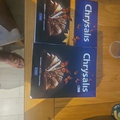 Chrysalis book & Work book