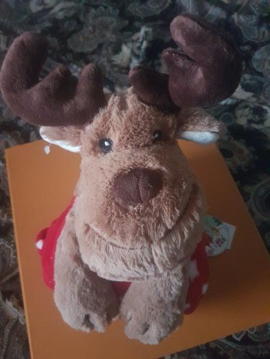 Reindeer Blanket