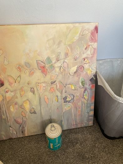 Butterfly canvas picture