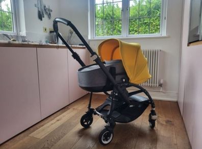 buggaboo bee