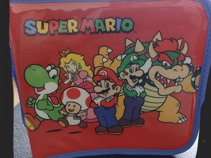 Nintendo Ds Storage case (Dc)(499)  1
