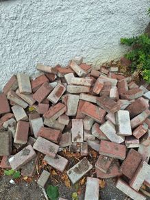 Paving bricks