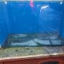 tank Image 2
