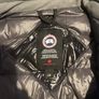 Canada goose Image 3