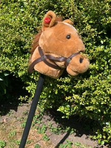 hobby horse with sounds