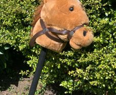 hobby horse with sounds