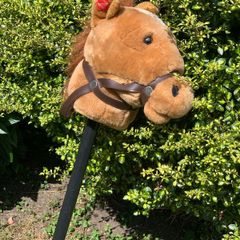 hobby horse with sounds