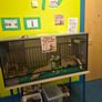 Reptile Tank Image 2