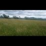 Meadows..ready for cutting Image 2