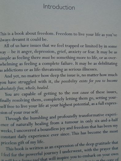 The Journey, Brandon Bays, Paperback book, Health and healing