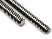 Lead Screw Tr8x8 and Tr8x2