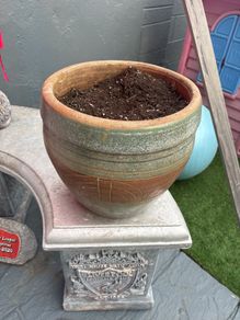 Large plant pot