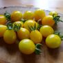 Tomato 'Yellow Submarine' Irish Seeds Image 3