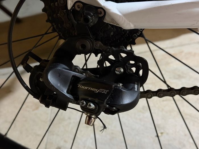 Lapierre Women's Mountain Bike