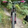Canyon Strive Image 3