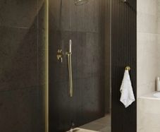 Walk In Screen Brushed Gold 100x195