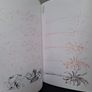 SALE! Set of 4 DRAW 50 drawing books: Dinosaurs, Flowers, Animals and Endangered Animals Image 8