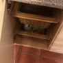 kitchen Image 8