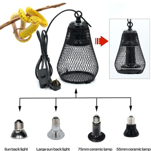 Pet Heat Lamp & Bulb