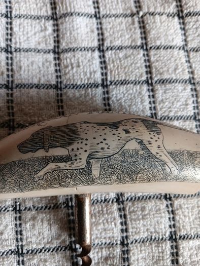 Vintage scrimshaw