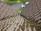 cleaning home inside/outside Image 9
