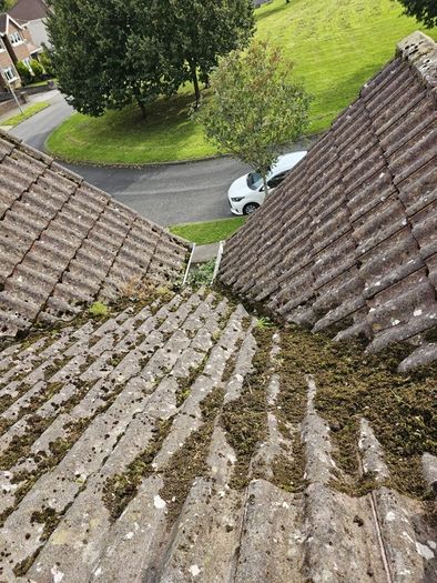 cleaning home inside/outside