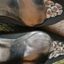 Stuart Weitzman sparkly heels Image 7