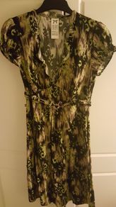 Green & Black Dept Dress