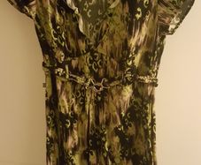 Green & Black Dept Dress