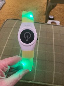 Illuminated silicone dog collar with usb Flash.