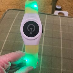 Illuminated silicone dog collar with usb Flash.