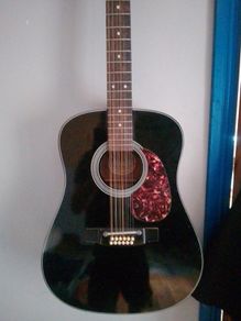 Twelve string guitar