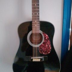 Twelve string guitar