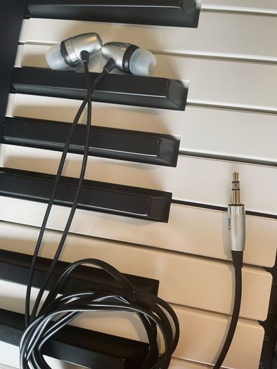 Denon C700 ex-flagship wired earphone