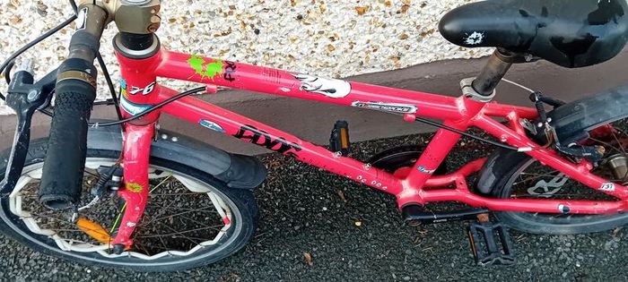 Kids Frog Bike/repair