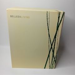 Belleek Large China Vase - Belleek Willows Vase - New In Box Rare Design