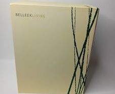 Belleek Large China Vase - Belleek Willows Vase - New In Box Rare Design