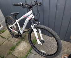 Rockrider st100