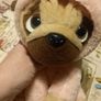 teddy pugsley unicorn Image 2