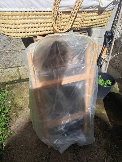 moses basket